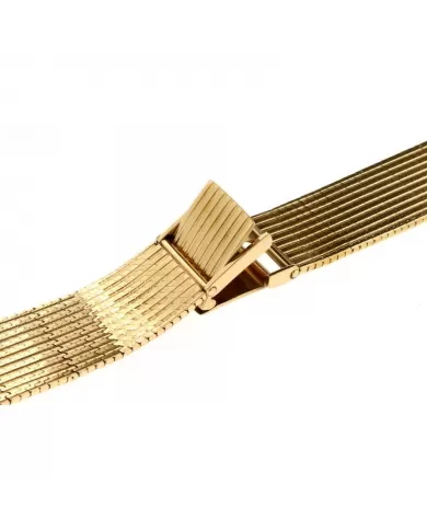 Cinturino per orologio in Oro giallo