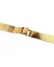 Cinturino per orologio in Oro giallo